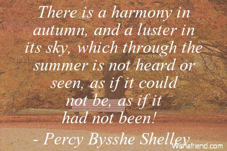 luster - Word of the Day - English - The Free Dictionary Language Forums